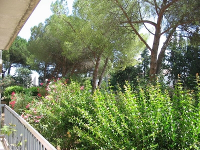 vente appartement  169 000  &euro;